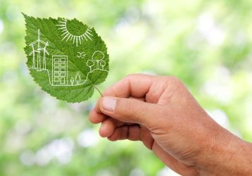 hand holding Green city concept, cut the leaves of plants