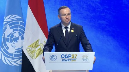 731_03142be6d45533039923