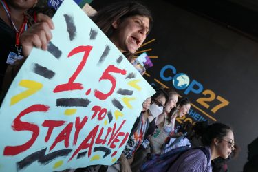 733_5b8c27f1f38c3baa1715