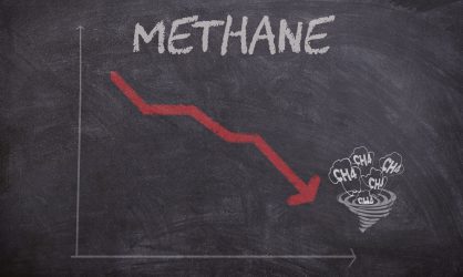 738_89bc86d740eb764be361